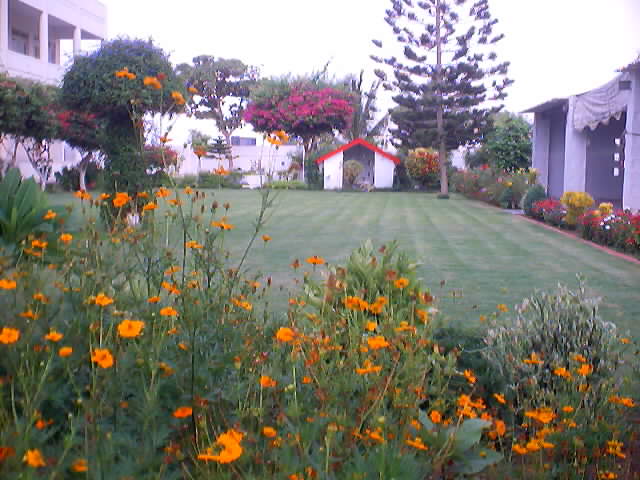 qalandar shaoor foundation